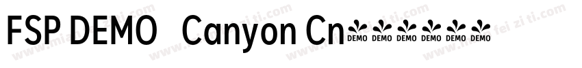 FSP DEMO   Canyon Cn字体转换
